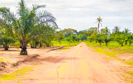 Seguro de viaje a Togo